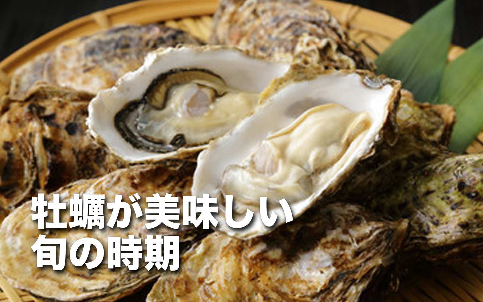 【徹底解説】牡蠣が美味しい旬の時期と種類による特徴を紹介